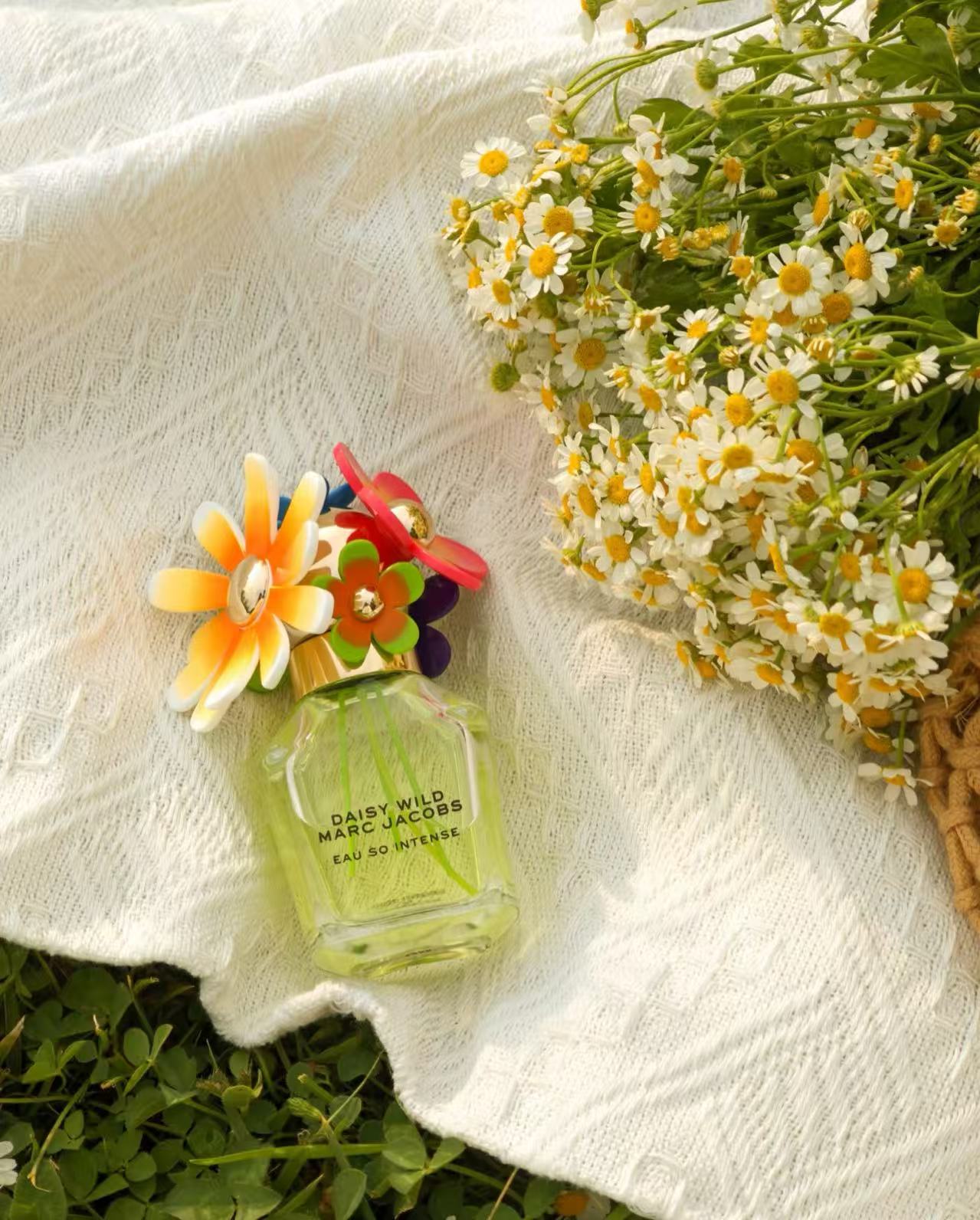 微信图片_2025-08-12_184653_415 微信图片_2025-08-12_184653_415